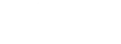 Project VIDA - Logo